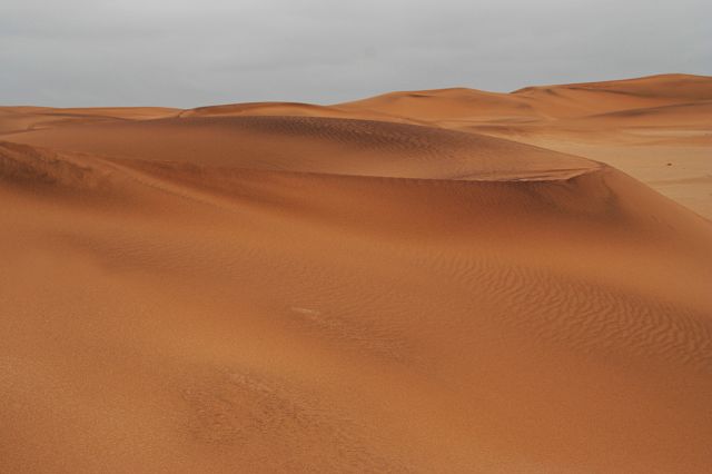 385-desert-swakopmund-49.jpg