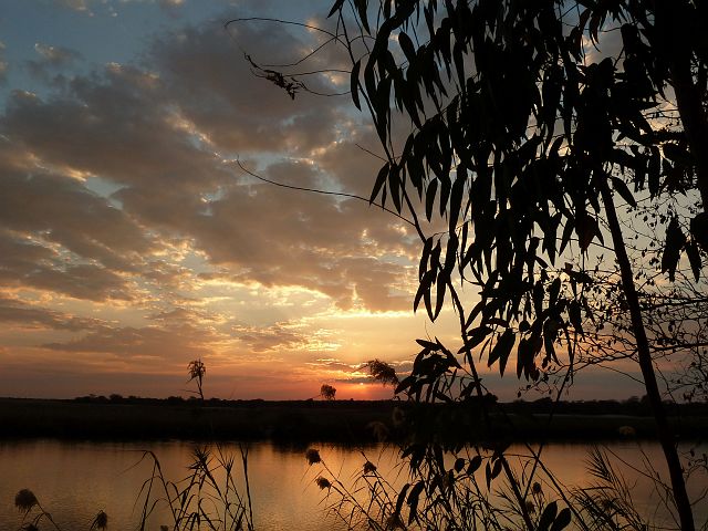 517-grensgebied-Botswana-28.jpg - Inclusief zonsondergang aan de Kavangorivier.