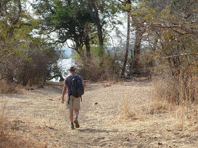 725-zambesi-03.jpg - Of nog leuker: wandelen naar de oever van de Zambezi.